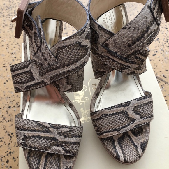 Coach Shoes - Picture 1 of 7